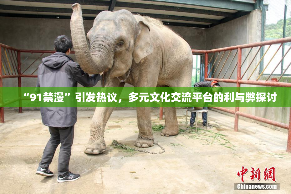 “91禁漫”引发热议，多元文化交流平台的利与弊探讨