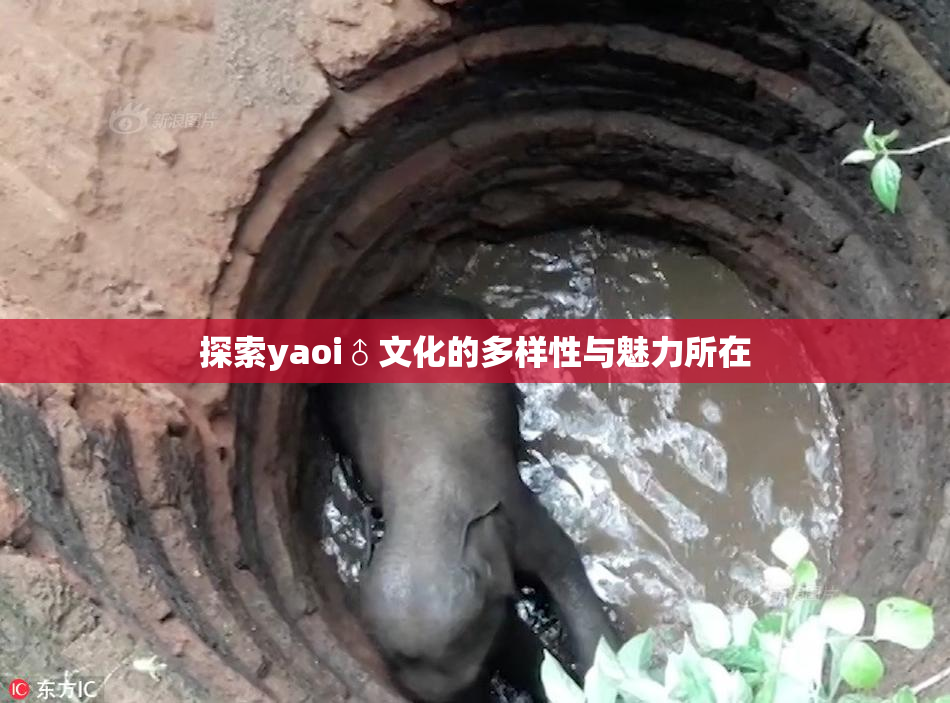 探索yaoi♂文化的多样性与魅力所在