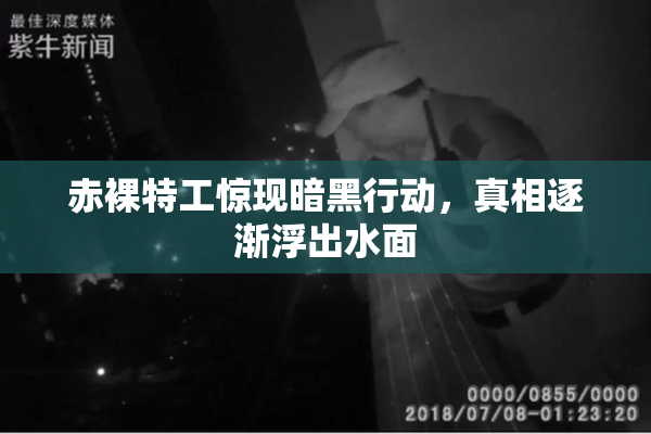 赤裸特工惊现暗黑行动，真相逐渐浮出水面