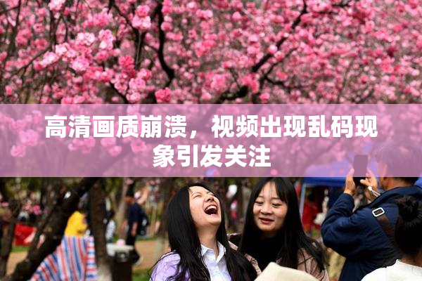 高清画质崩溃，视频出现乱码现象引发关注