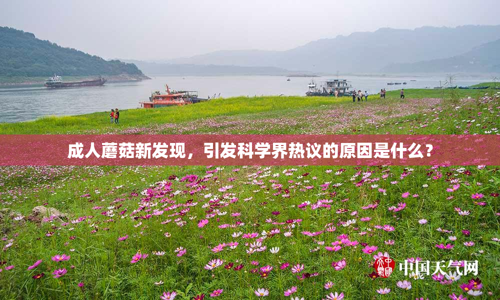 成人蘑菇新发现，引发科学界热议的原因是什么？
