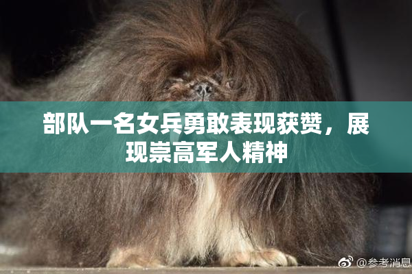 部队一名女兵勇敢表现获赞，展现崇高军人精神