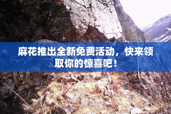 麻花推出全新免费活动，快来领取你的惊喜吧！