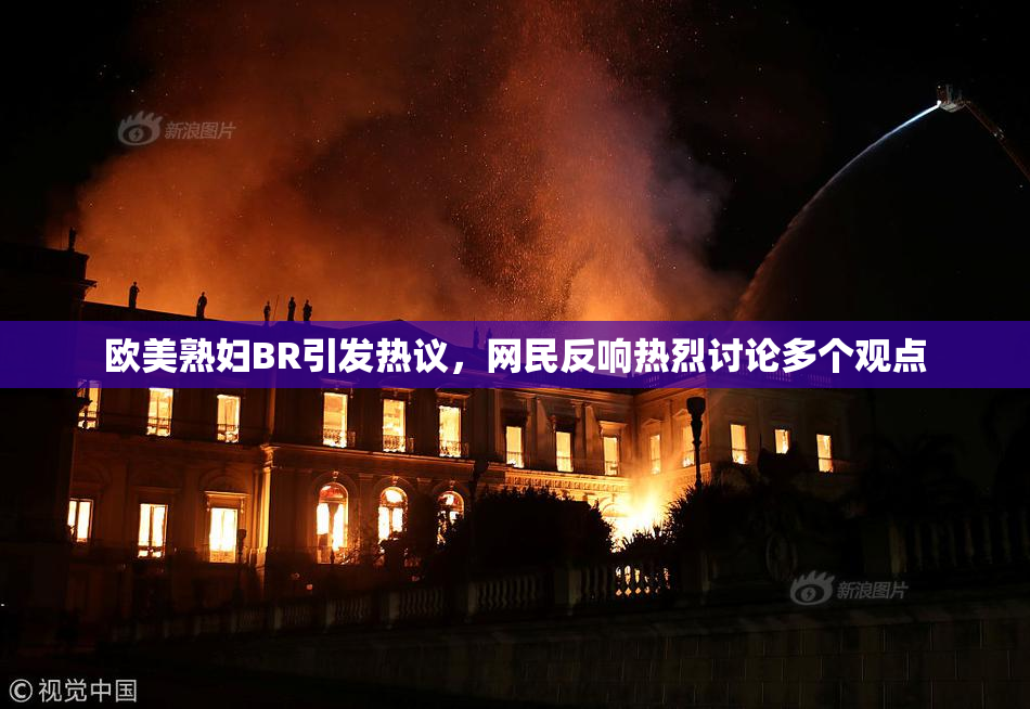 欧美熟妇BR引发热议，网民反响热烈讨论多个观点