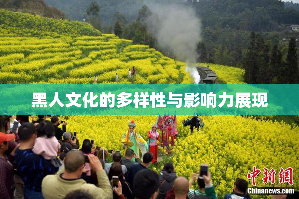 黑人文化的多样性与影响力展现