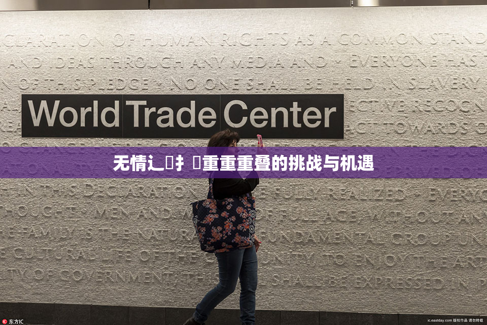 无情辶喿扌畐重重重叠的挑战与机遇