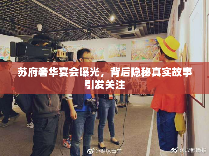 苏府奢华宴会曝光，背后隐秘真实故事引发关注