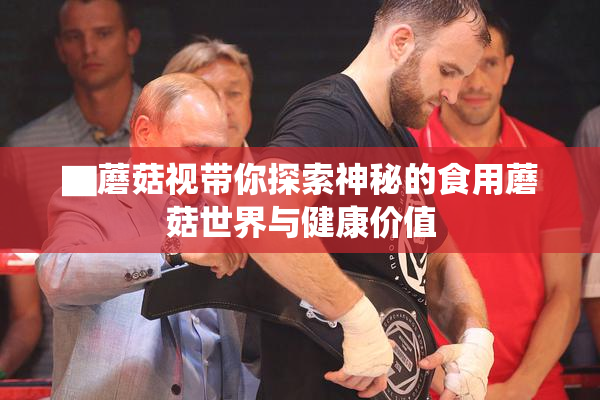 ▇蘑菇视带你探索神秘的食用蘑菇世界与健康价值