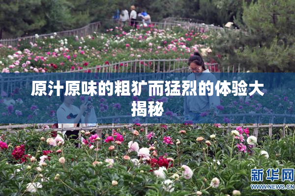 原汁原味的粗犷而猛烈的体验大揭秘