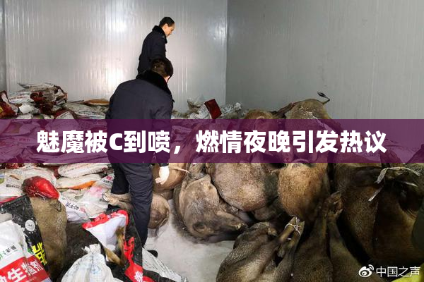 魅魔被C到喷，燃情夜晚引发热议