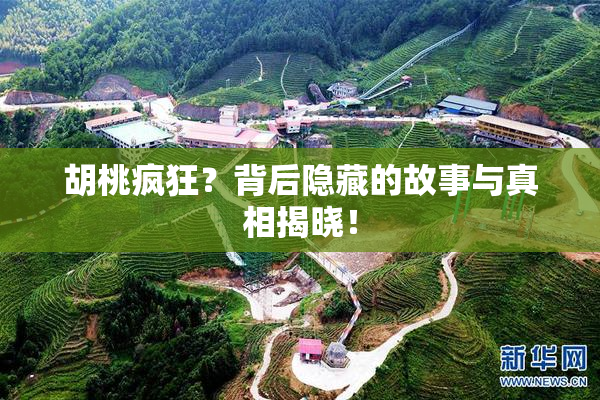 胡桃疯狂？背后隐藏的故事与真相揭晓！