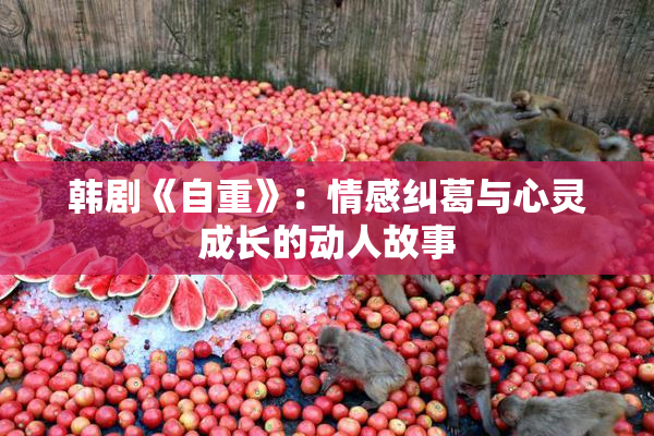韩剧《自重》：情感纠葛与心灵成长的动人故事
