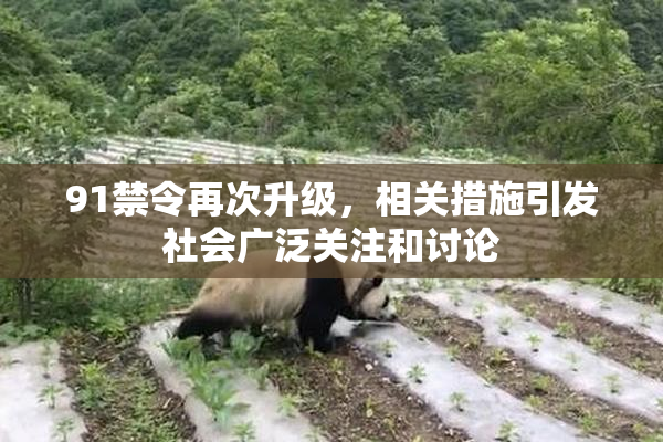 91禁令再次升级，相关措施引发社会广泛关注和讨论