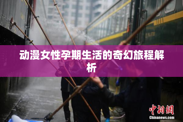 动漫女性孕期生活的奇幻旅程解析