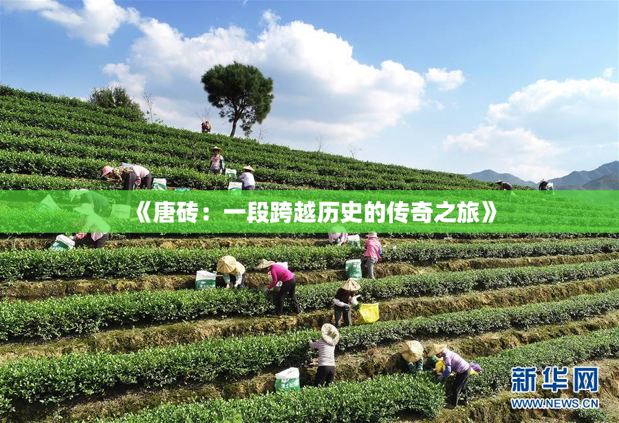 《唐砖：一段跨越历史的传奇之旅》