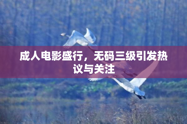 成人电影盛行，无码三级引发热议与关注