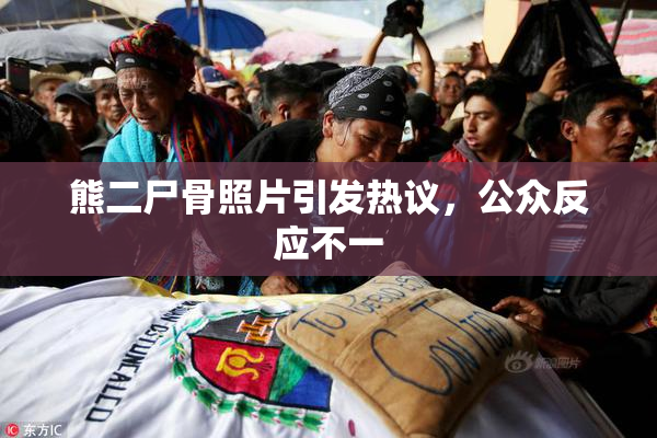 熊二尸骨照片引发热议，公众反应不一