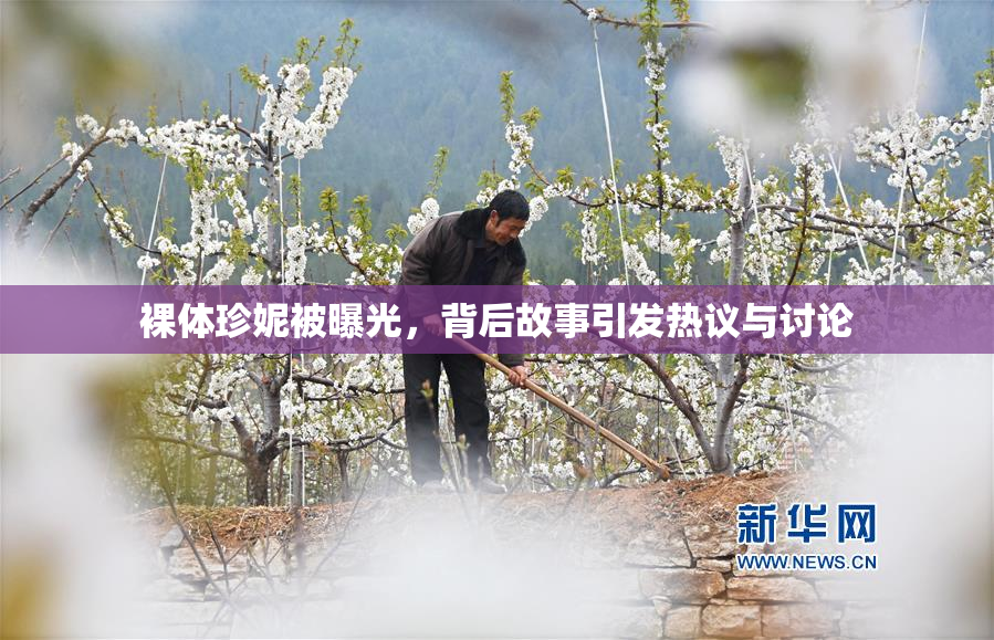 裸体珍妮被曝光，背后故事引发热议与讨论