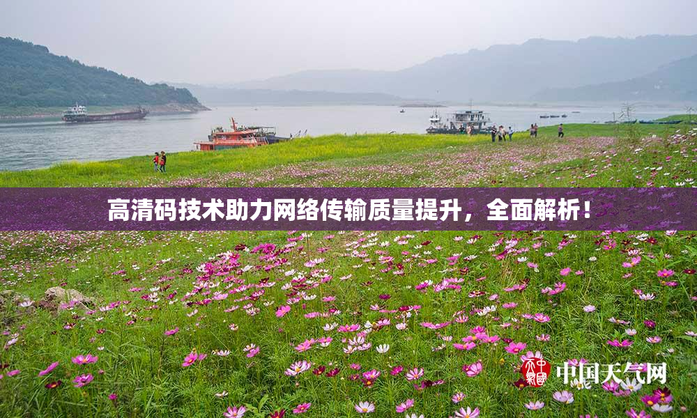 高清码技术助力网络传输质量提升，全面解析！