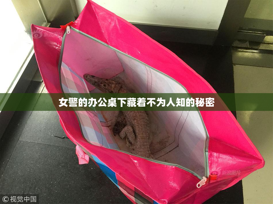 女警的办公桌下藏着不为人知的秘密