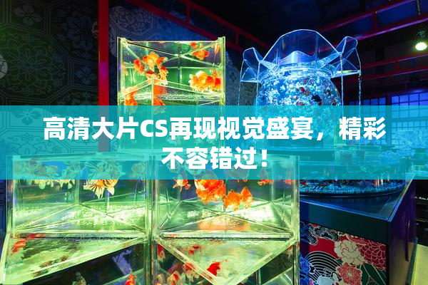 高清大片CS再现视觉盛宴，精彩不容错过！