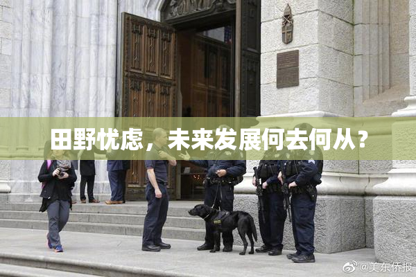 田野忧虑，未来发展何去何从？
