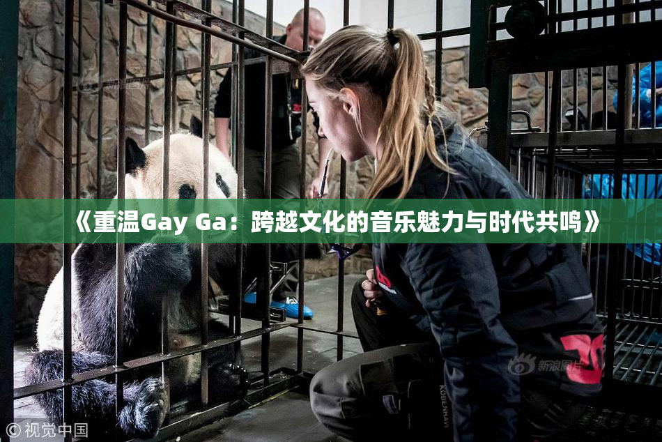 《重温Gay Ga：跨越文化的音乐魅力与时代共鸣》
