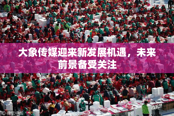 大象传媒迎来新发展机遇，未来前景备受关注