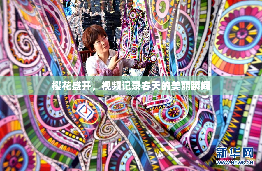 樱花盛开，视频记录春天的美丽瞬间