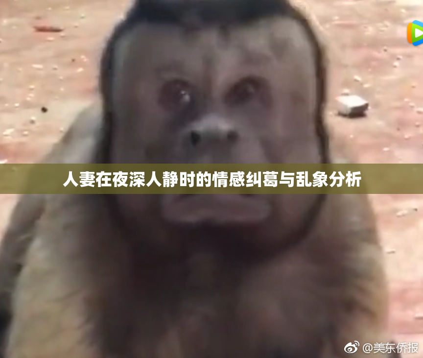 人妻在夜深人静时的情感纠葛与乱象分析