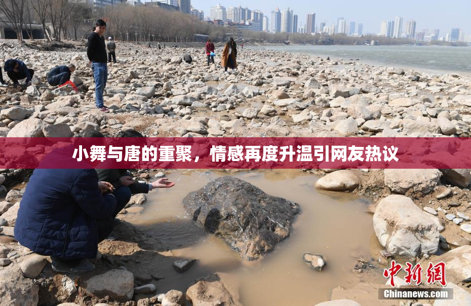 小舞与唐的重聚，情感再度升温引网友热议