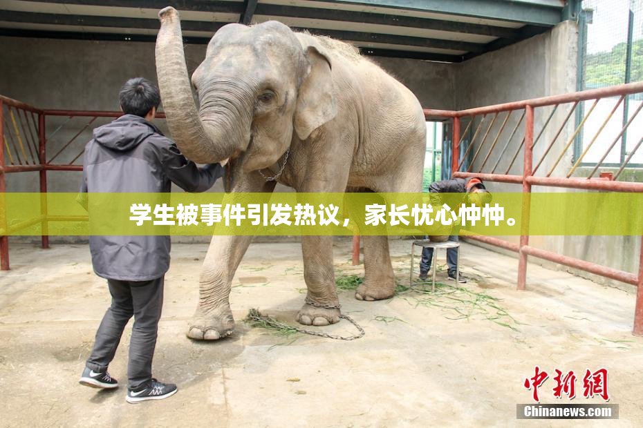 学生被事件引发热议，家长忧心忡忡。