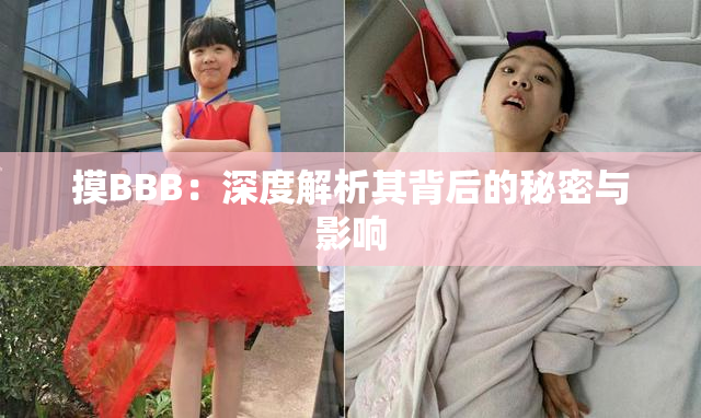 摸BBB：深度解析其背后的秘密与影响