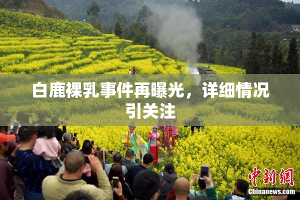 白鹿裸乳事件再曝光，详细情况引关注