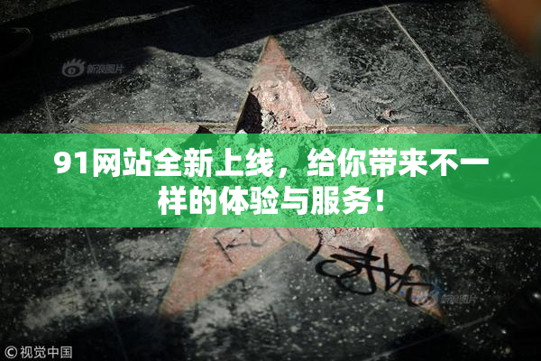 91网站全新上线，给你带来不一样的体验与服务！