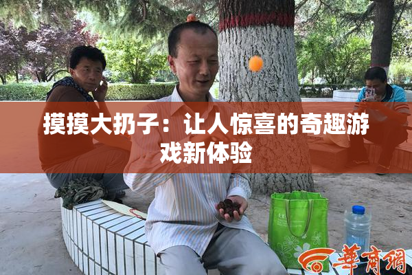 摸摸大扔子：让人惊喜的奇趣游戏新体验