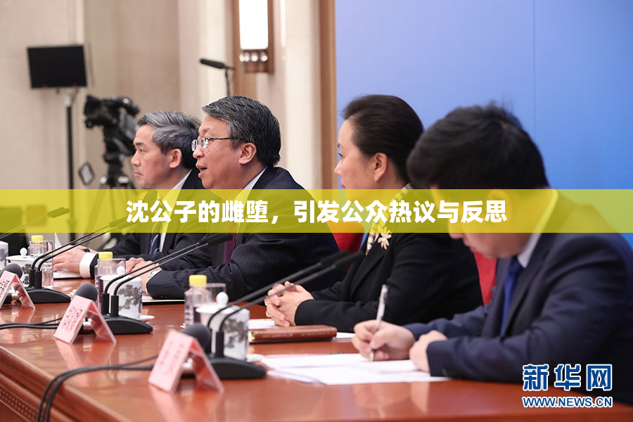 沈公子的雌堕，引发公众热议与反思