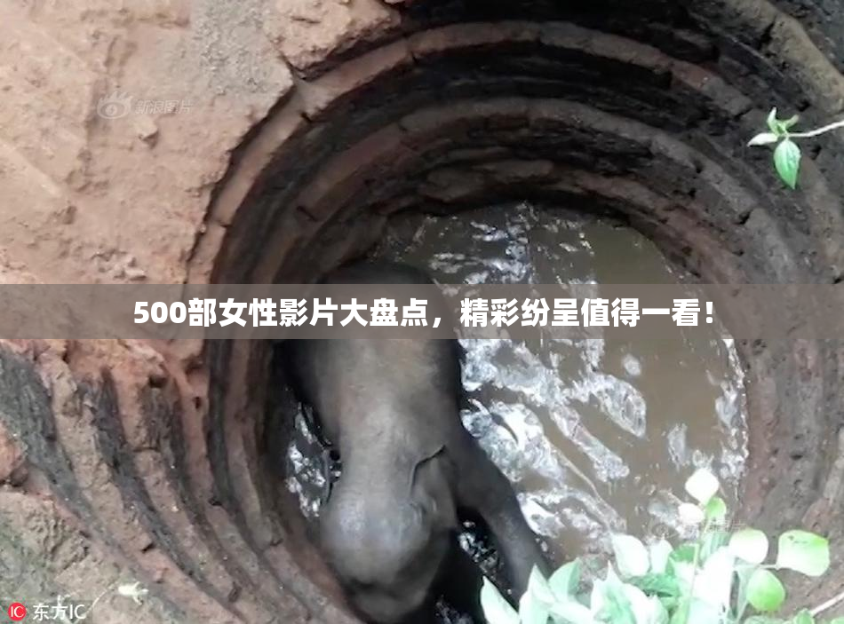 500部女性影片大盘点，精彩纷呈值得一看！