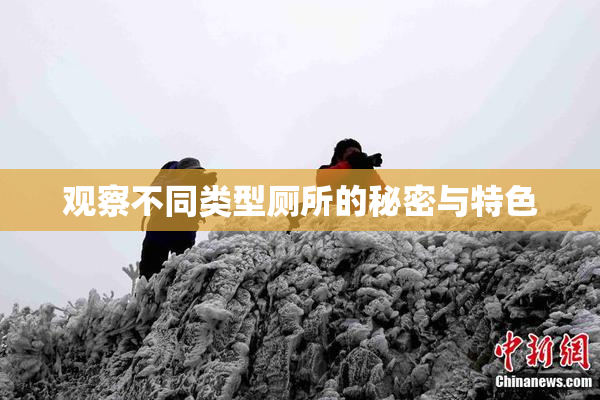 观察不同类型厕所的秘密与特色