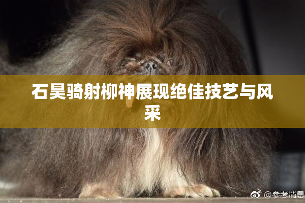 石昊骑射柳神展现绝佳技艺与风采