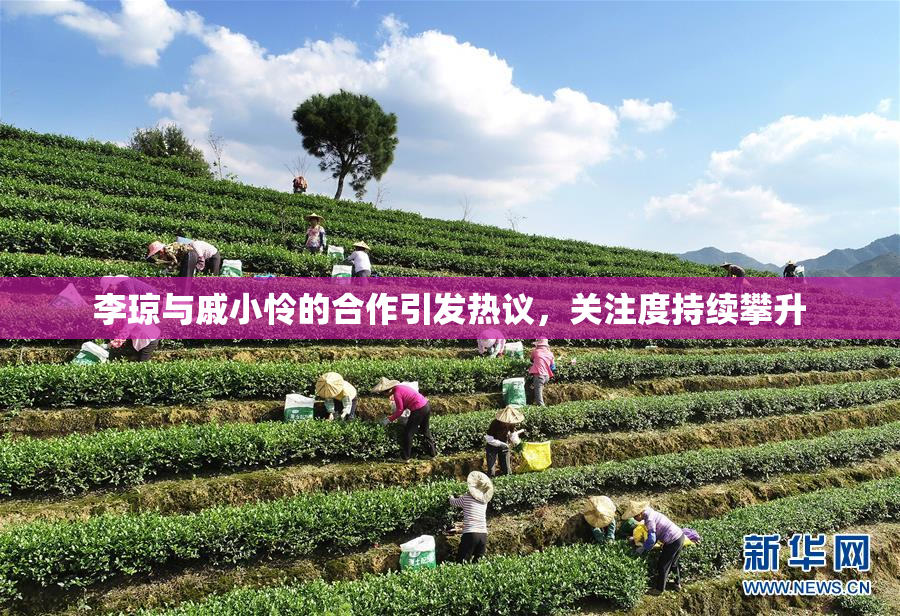 李琼与戚小怜的合作引发热议，关注度持续攀升