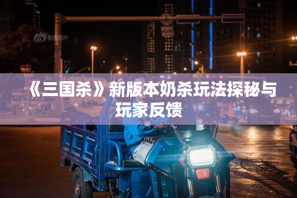 《三国杀》新版本奶杀玩法探秘与玩家反馈