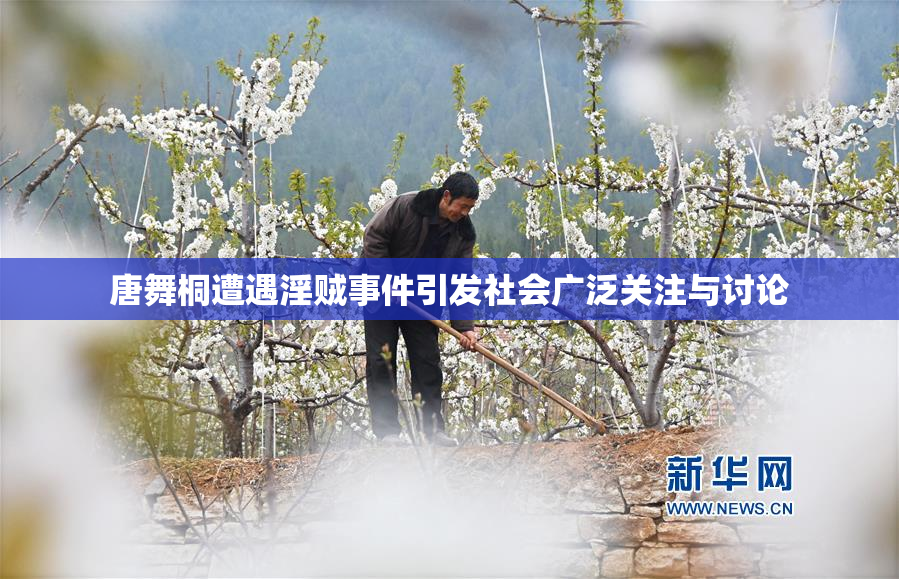 唐舞桐遭遇淫贼事件引发社会广泛关注与讨论