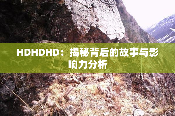 HDHDHD：揭秘背后的故事与影响力分析