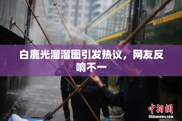 白鹿光溜溜图引发热议，网友反响不一
