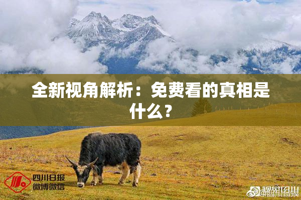 全新视角解析：免费看的真相是什么？