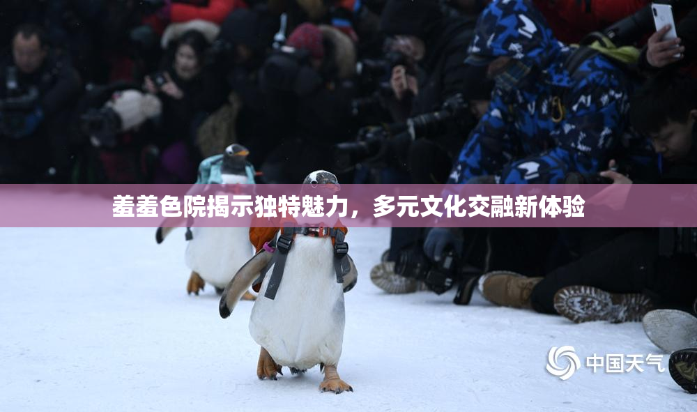 羞羞色院揭示独特魅力，多元文化交融新体验