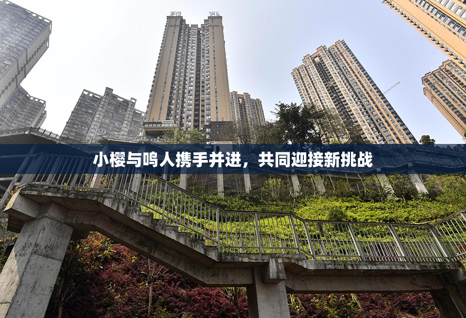 小樱与鸣人携手并进，共同迎接新挑战
