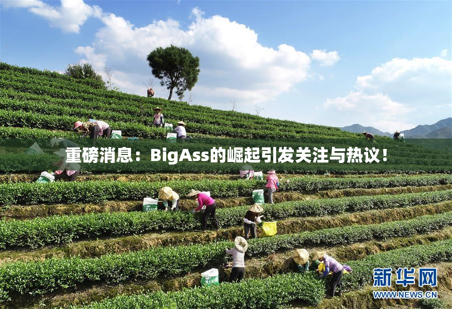 重磅消息：BigAss的崛起引发关注与热议！