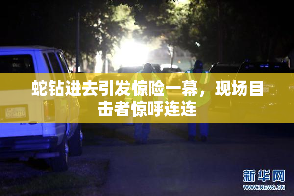 蛇钻进去引发惊险一幕，现场目击者惊呼连连
